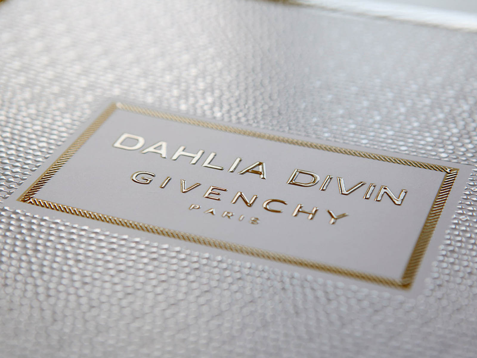 Dahlia Divin Folder